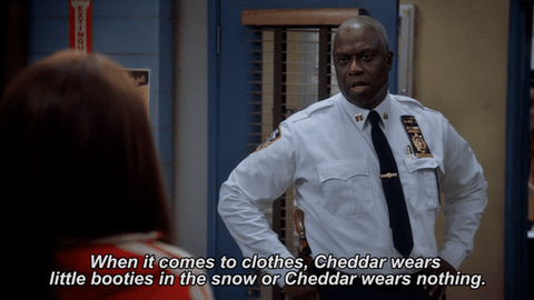 Captain Holt Talking About Cheddar The Dog.gif